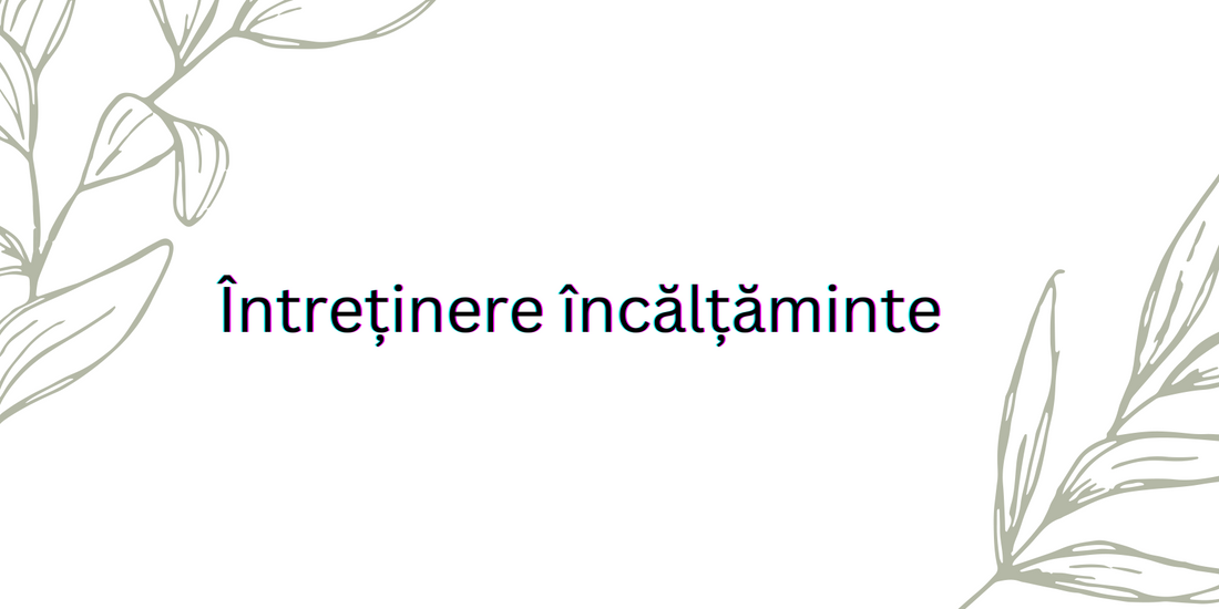 Intretinere Incaltaminte