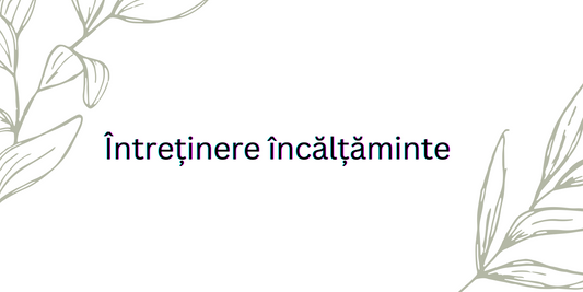 Intretinere Incaltaminte