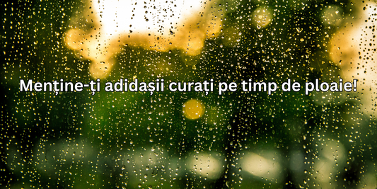 Solutii esentiale pentru adidasi pe timp de ploaie